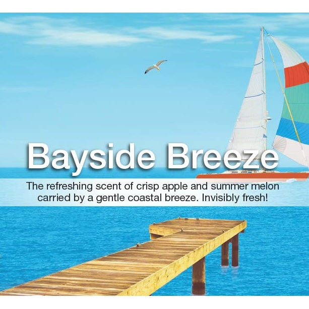 Little Trees Car Air Freshener - Bayside Breeze - 3 pieces