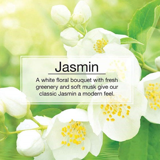 Little Trees Car Air Freshener - Jasmin - 3 pieces