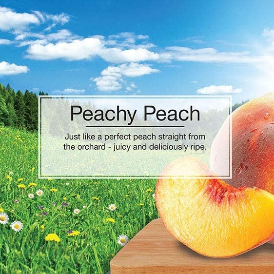 Little Trees Car Air Freshener - Peachy Peach - 3 pieces